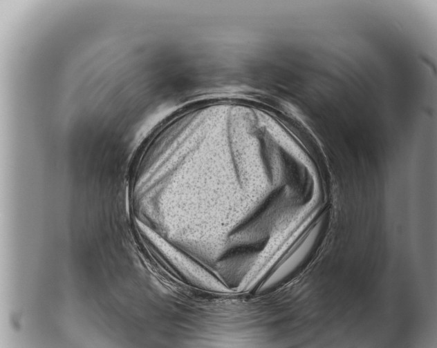 X0000100211320200806201436