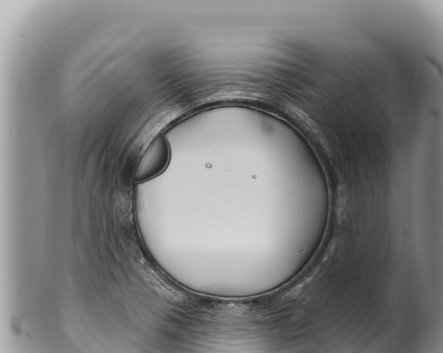 X0000100211321200806201436