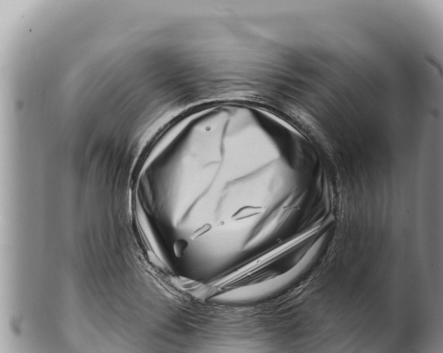 X0000100211324200806201436