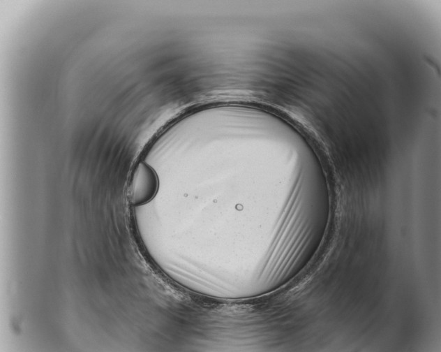 X0000100211325200806201436