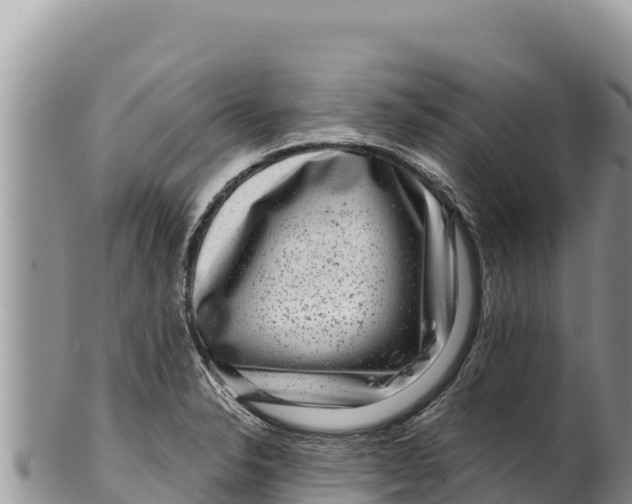 X0000100211326200806201436