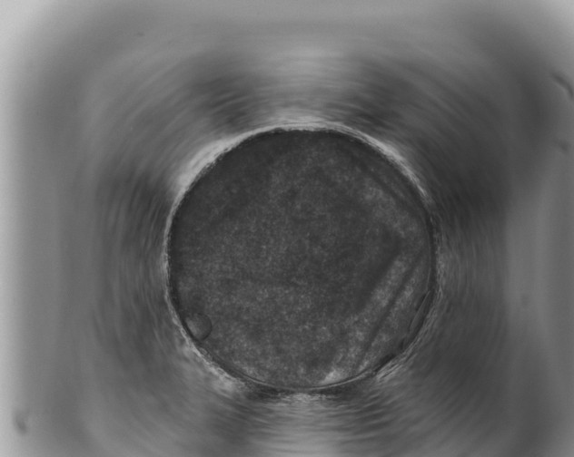 X0000100211327200806201436