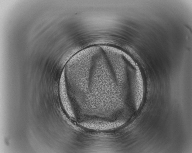 X0000100211329200806201436