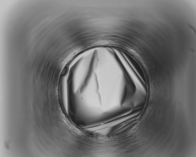 X0000100211330200806201436