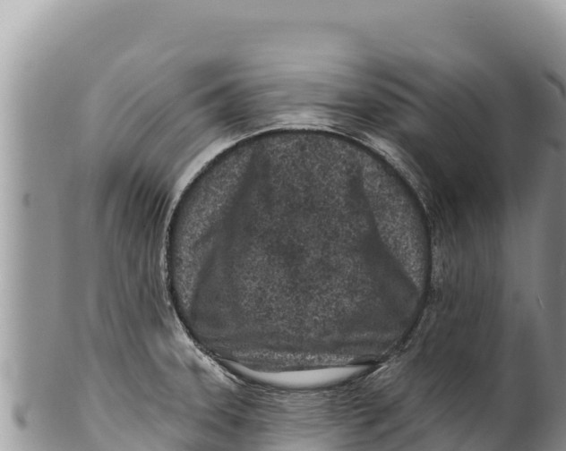 X0000100211331200806201436