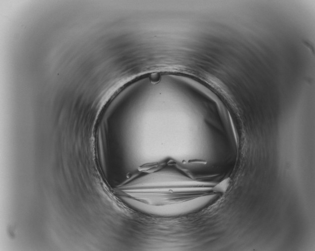 X0000100211332200806201436