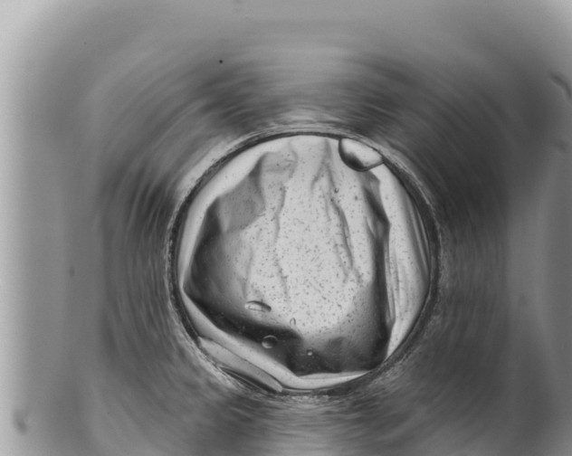 X0000100211333200806201436