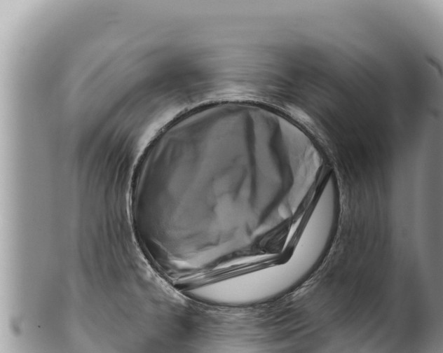 X0000100211334200806201436