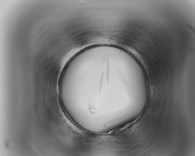 X0000100211335200806201436