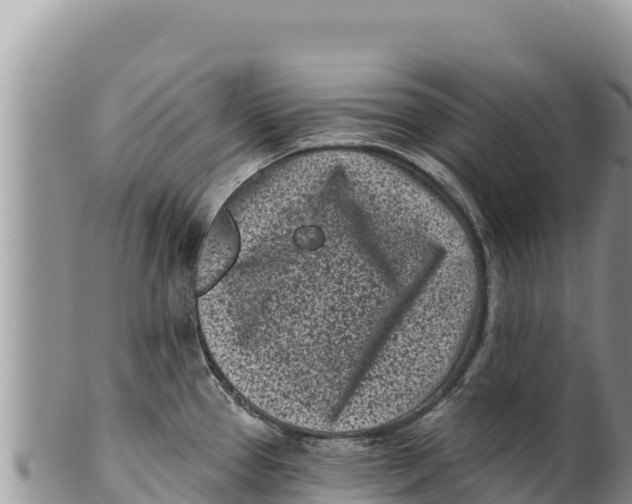 X0000100211337200806201436