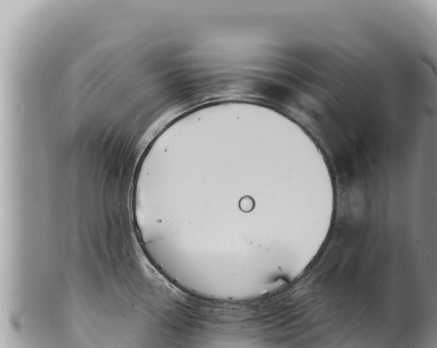 X0000100211338200806201436