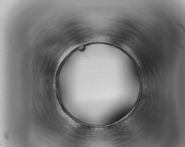 X0000100211339200806201436