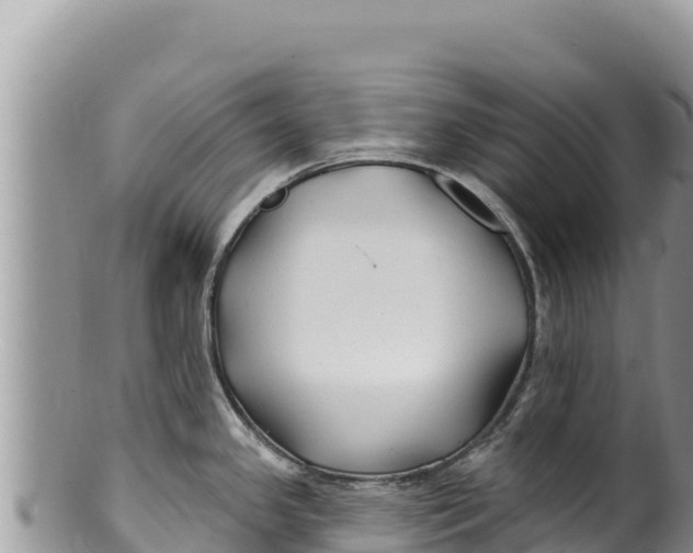 X0000100211341200806201436