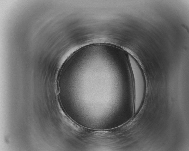 X0000100211342200806201436