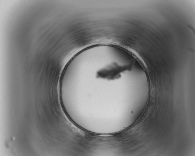 X0000100211343200806201436