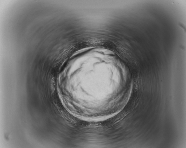 X0000100211346200806201435