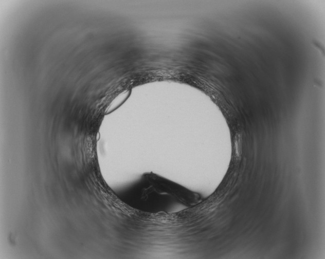 X0000100211347200806201435