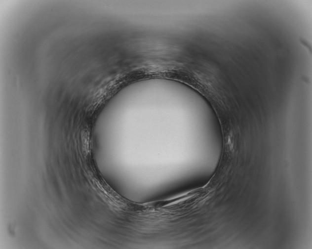 X0000100211348200806201435