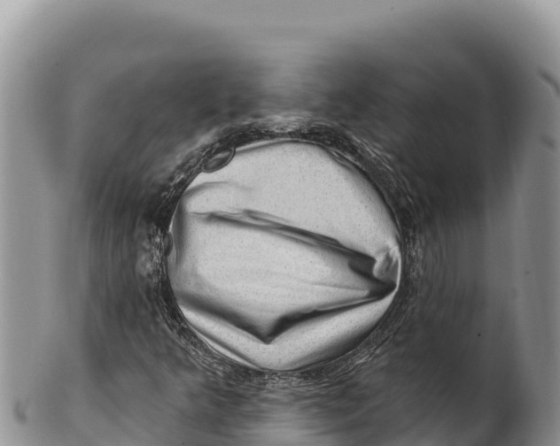 X0000100211349200806201435