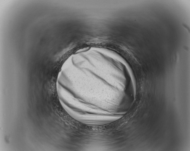 X0000100211350200806201435