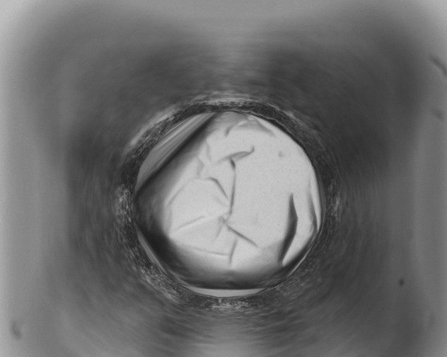 X0000100211351200806201435