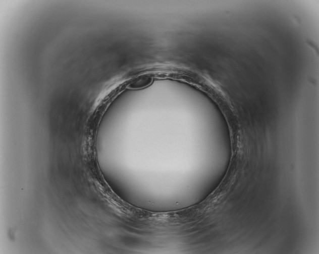 X0000100211352200806201435