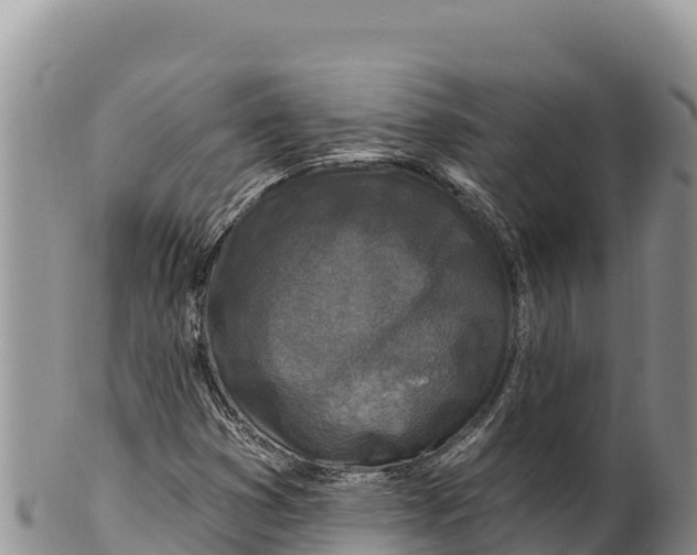 X0000100211353200806201435