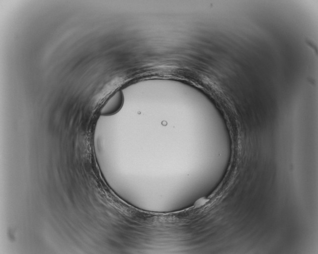 X0000100211354200806201435