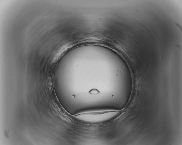 X0000100211355200806201435