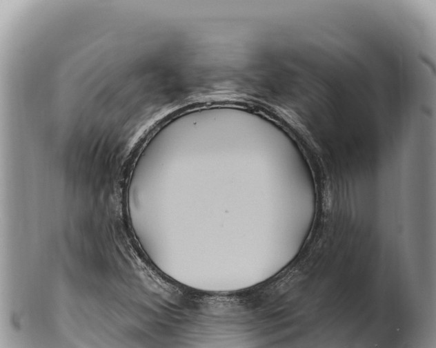 X0000100211356200806201435