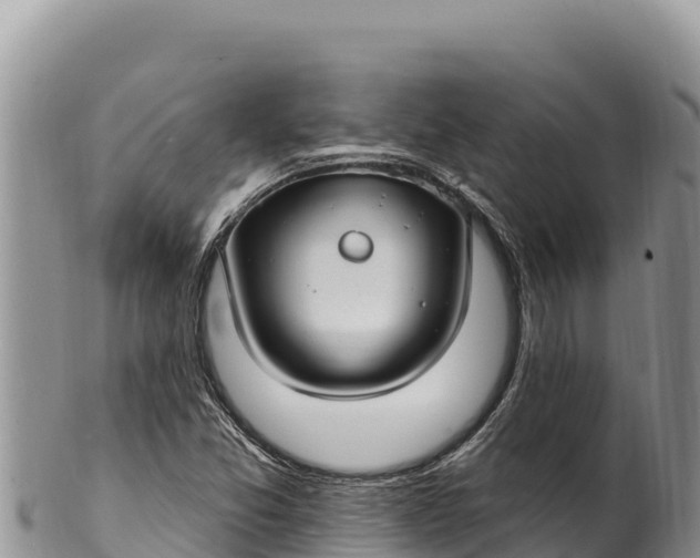 X0000100211357200806201435