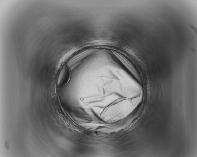 X0000100211358200806201435