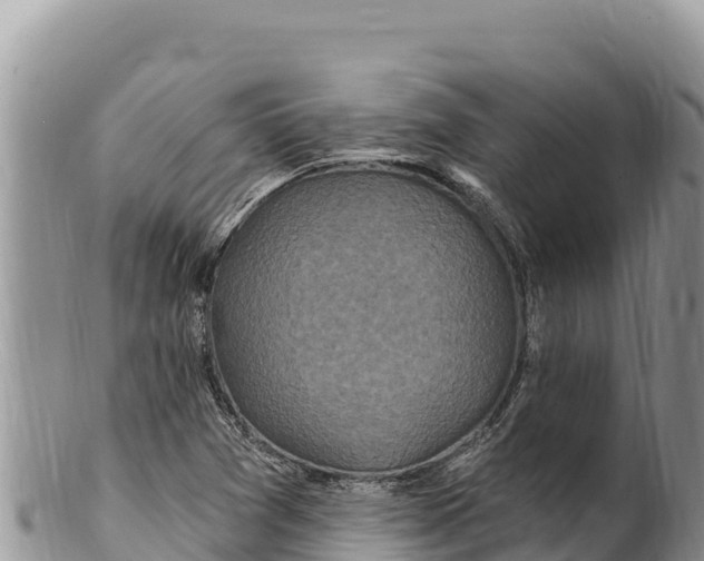 X0000100211361200806201435