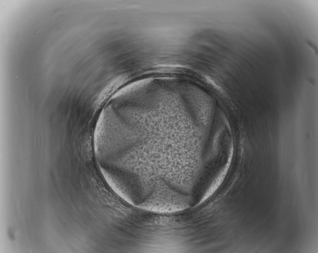 X0000100211362200806201435