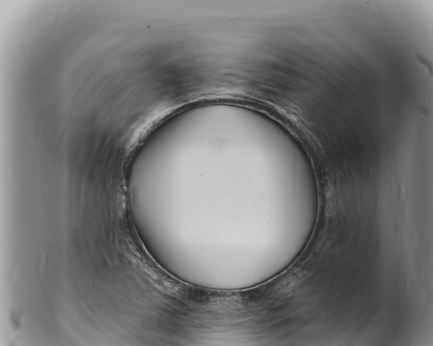 X0000100211363200806201435