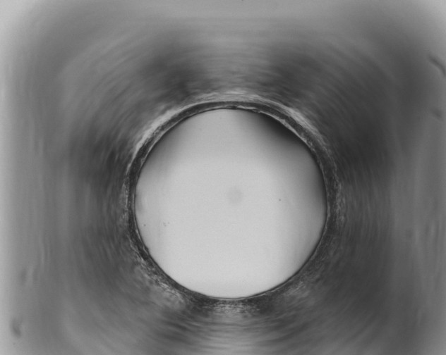 X0000100211364200806201435