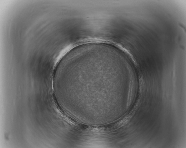 X0000100211365200806201435