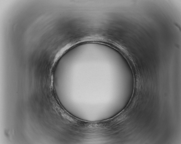 X0000100211366200806201435