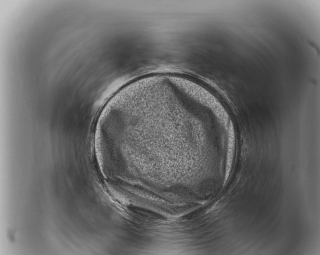 X0000100211367200806201435