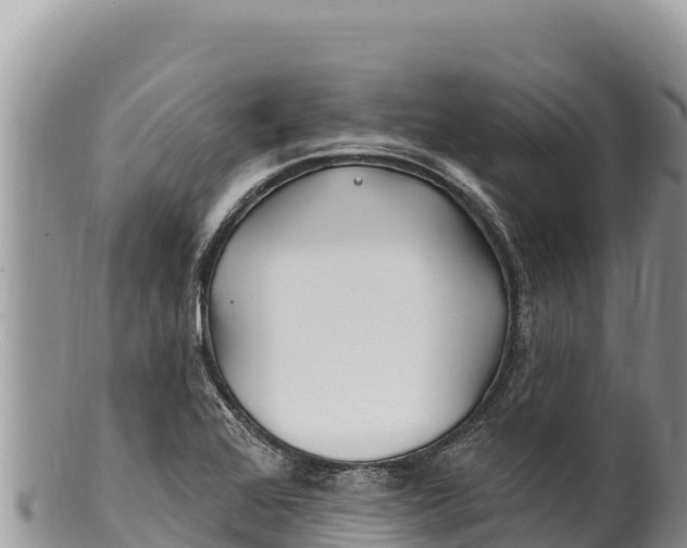 X0000100211368200806201435