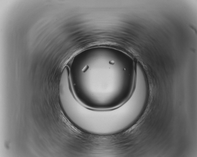 X0000100211369200806201435