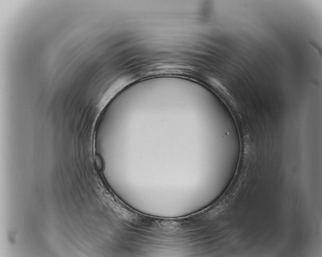 X0000100211370200806201435