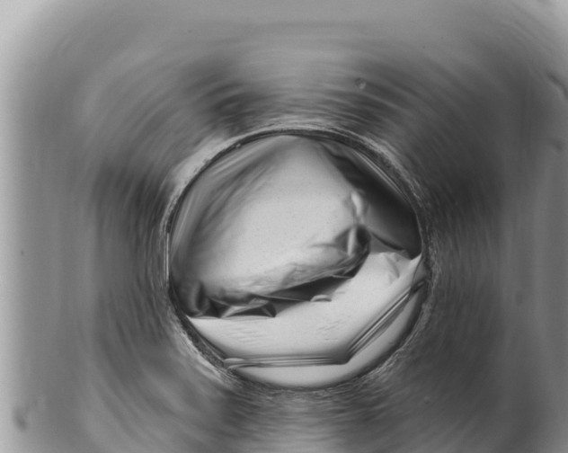 X0000100211371200806201435