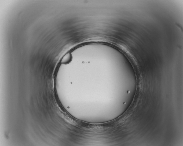 X0000100211372200806201435