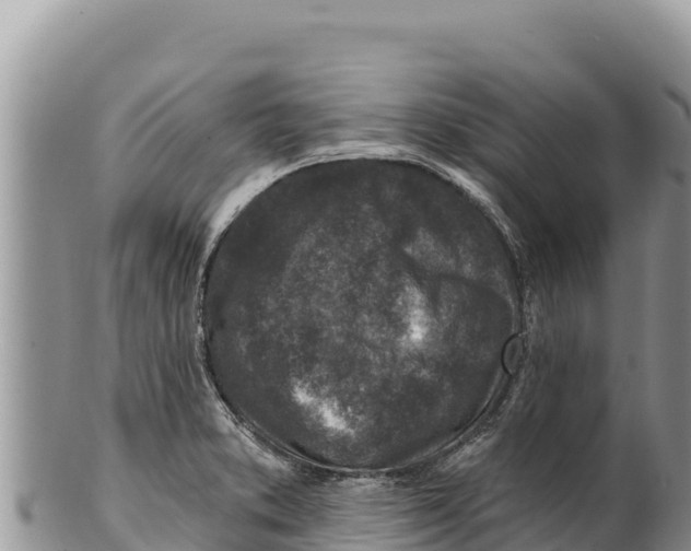 X0000100211373200806201435