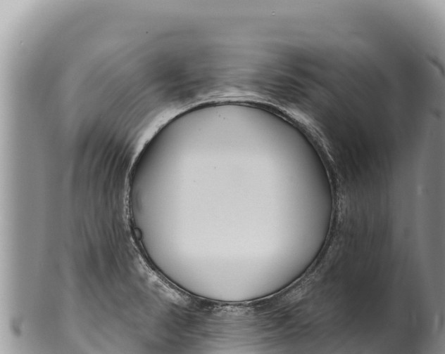 X0000100211374200806201435