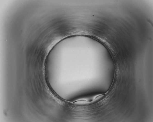 X0000100211375200806201435