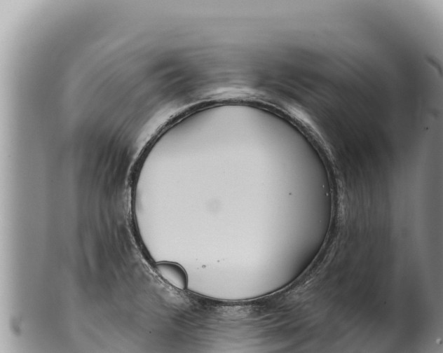 X0000100211376200806201435