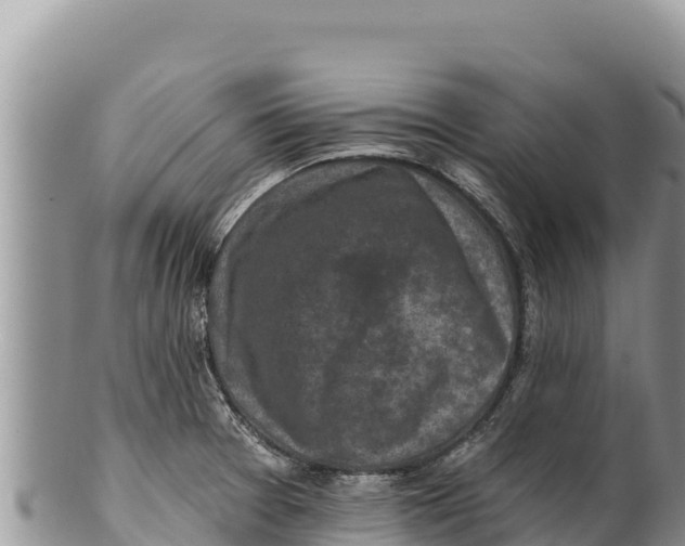 X0000100211377200806201435