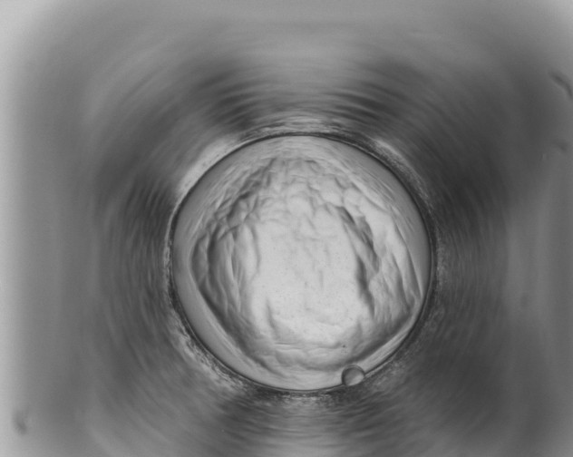 X0000100211378200806201435